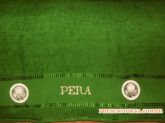Toalha do Palmeiras